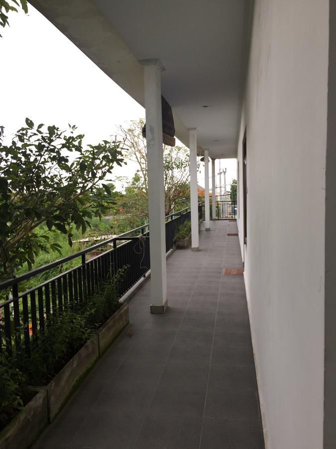 Grass Terrace Homestay Canggu Extérieur photo
